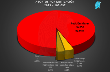 Abortos España 2023 por motivación de la madre